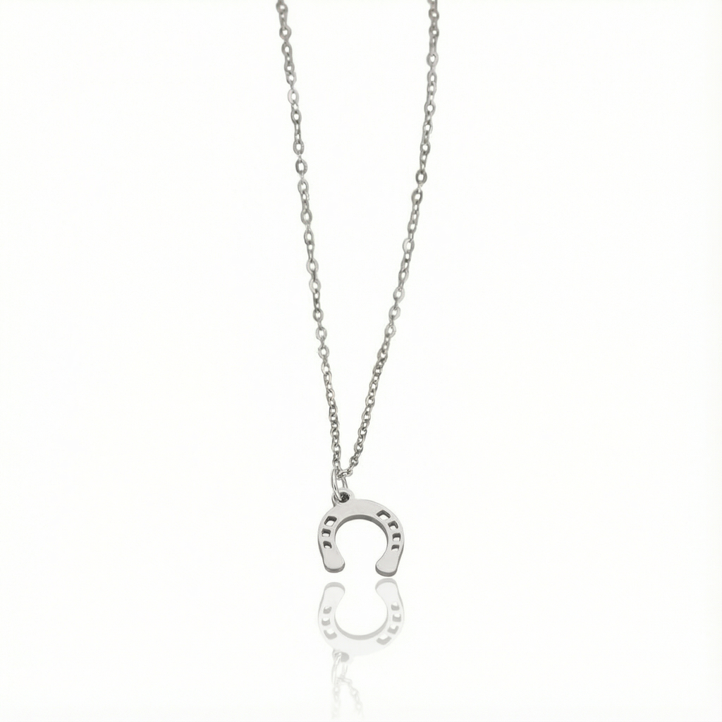 Conjunto Ferradura Raiz Prata
