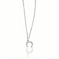 Conjunto Ferradura Raiz Prata