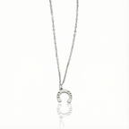Conjunto Ferradura Raiz Prata