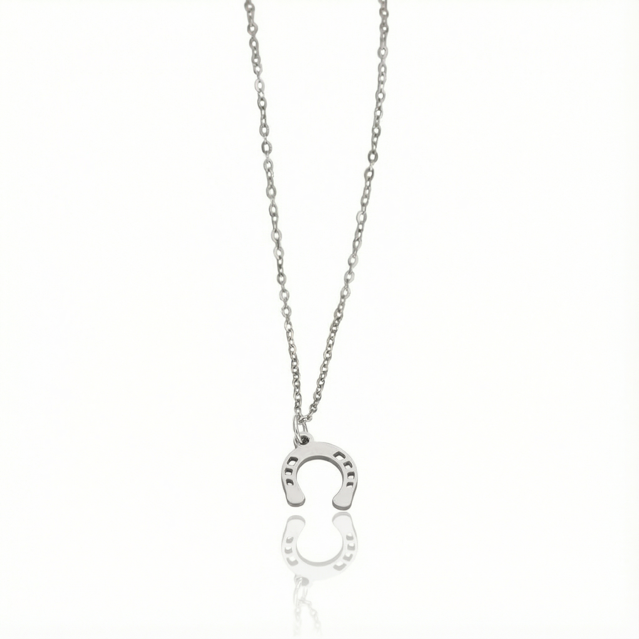 Conjunto Ferradura Raiz Prata