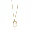 Conjunto Ferradura Raiz Dourado