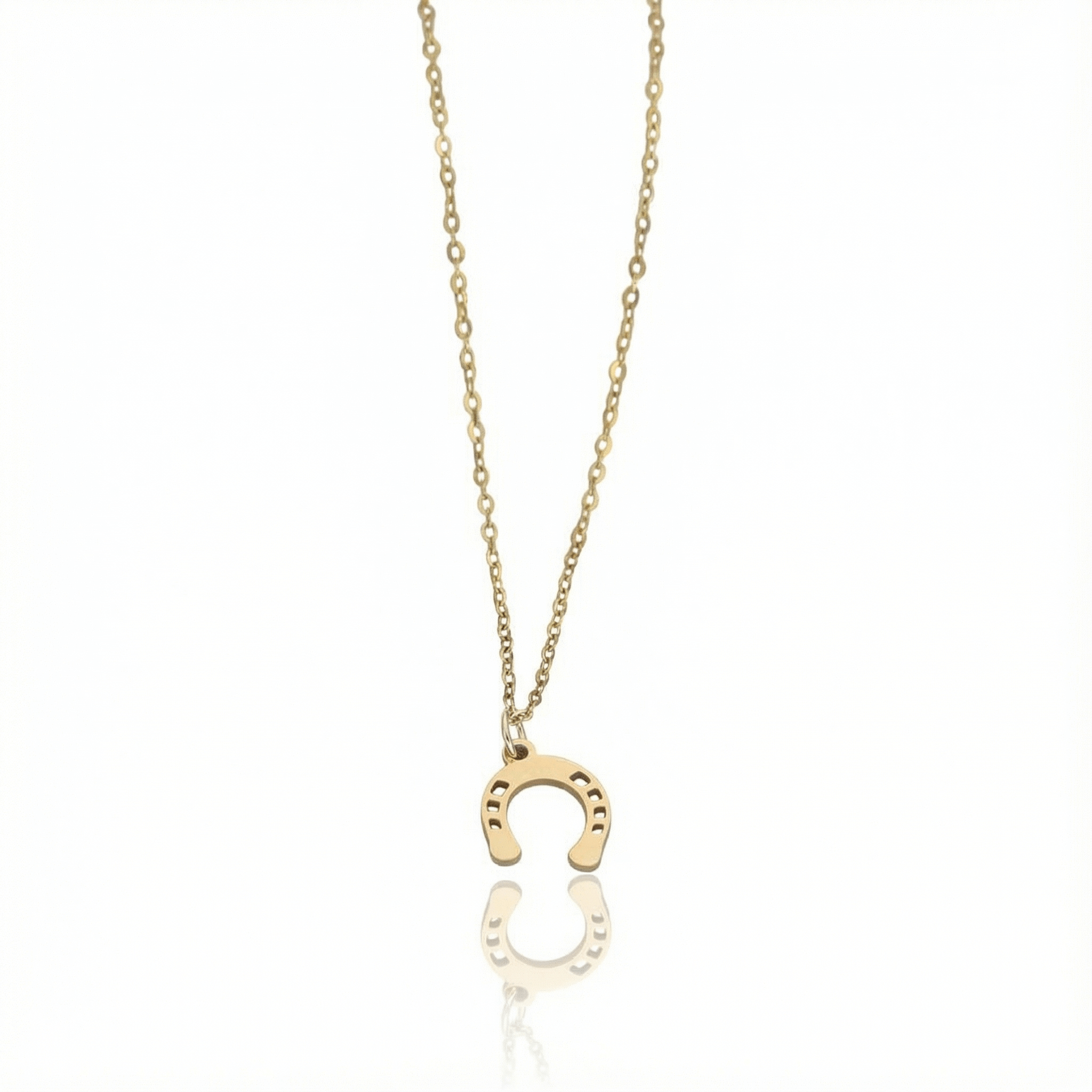Conjunto Ferradura Raiz Dourado