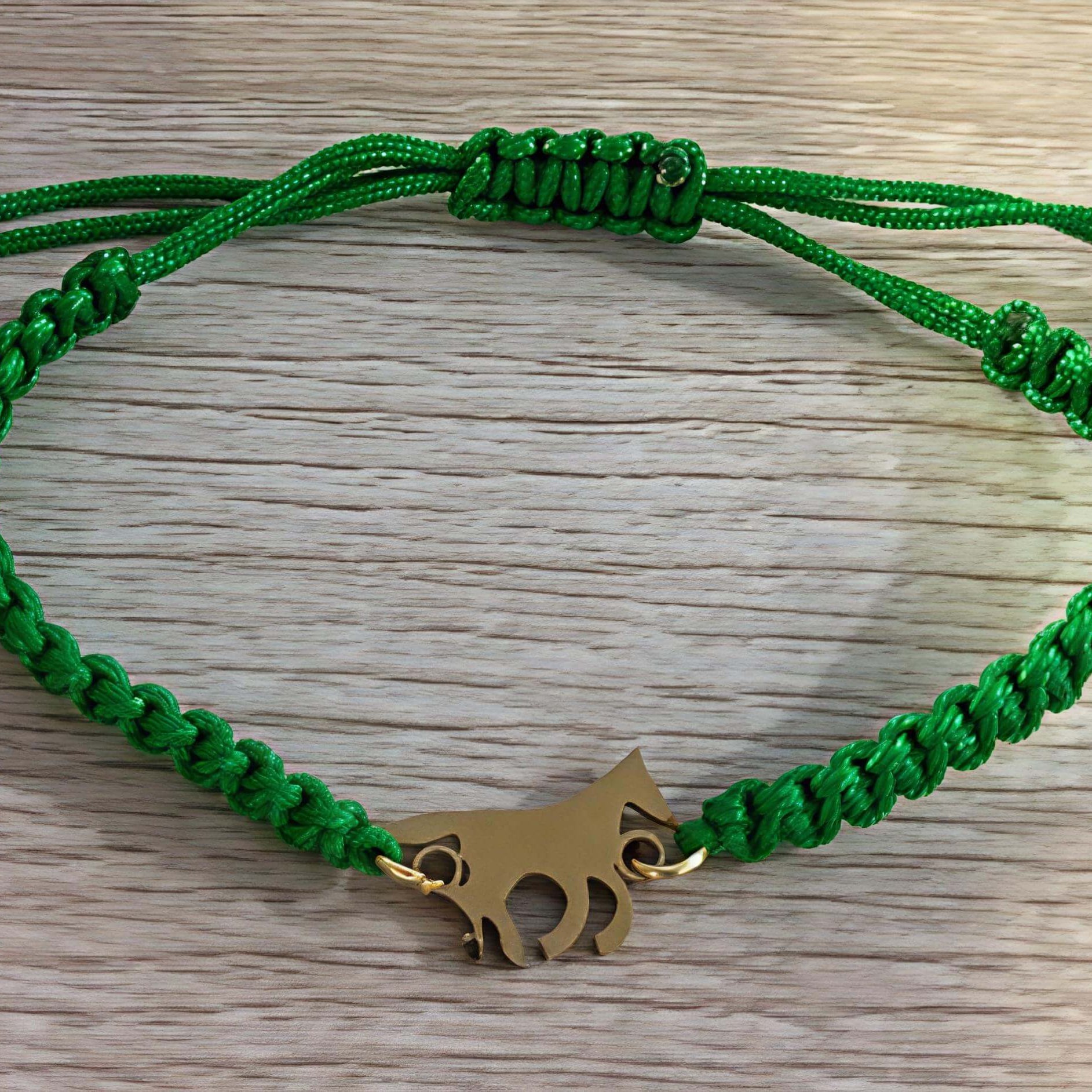 Pulseira Ajustável Galope Cores Pingente Dourado