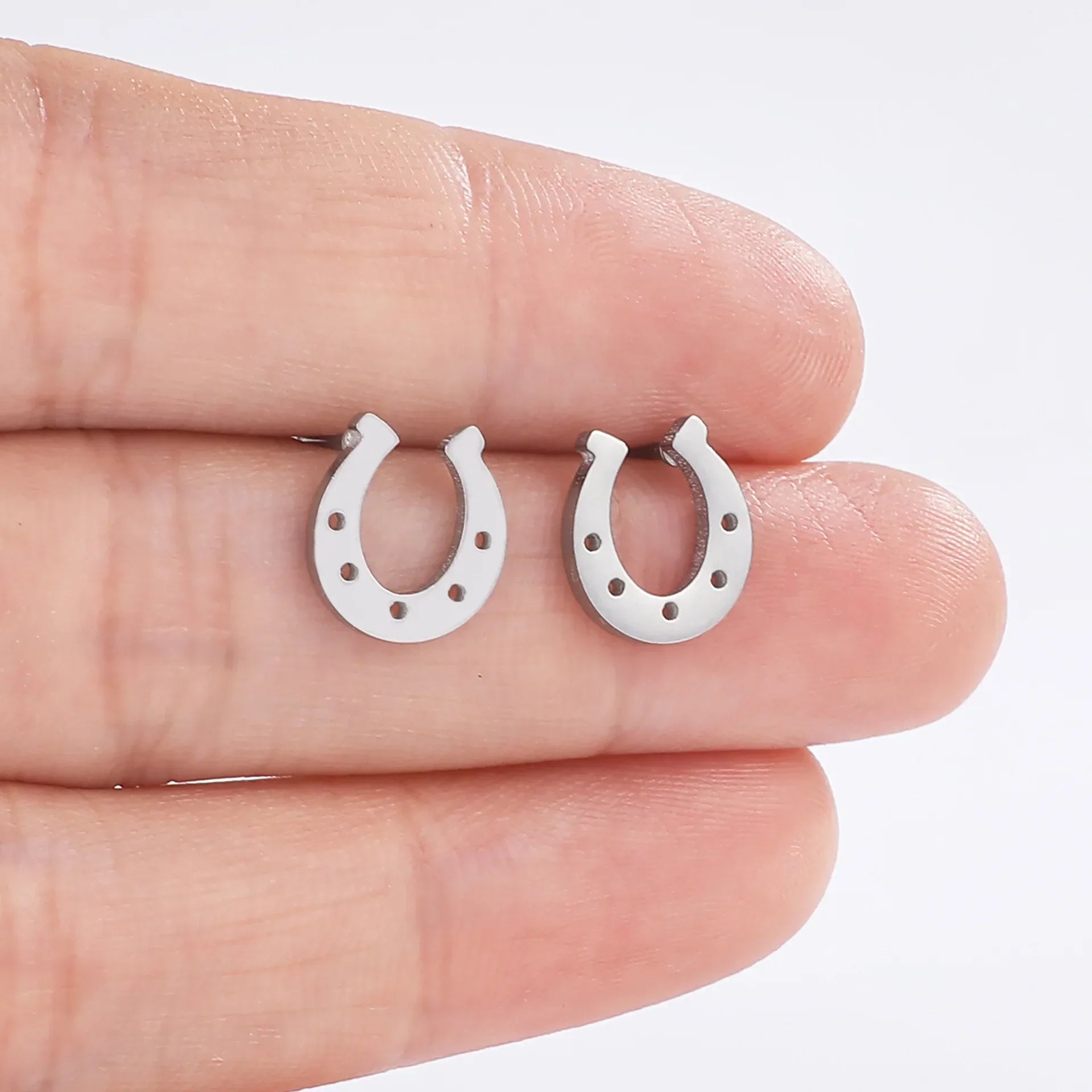 Brinco Ferradura Cravos Prata