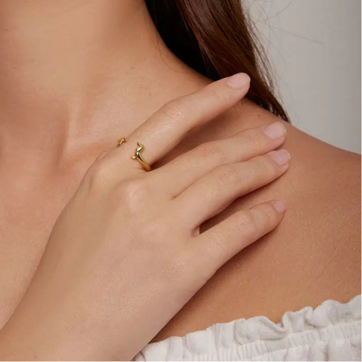 Anel Cão Salsicha Prata 925 banho ouro 18k