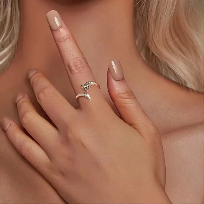 Anel Raposinha Moderno Prata 925 Banhado Ouro 18k