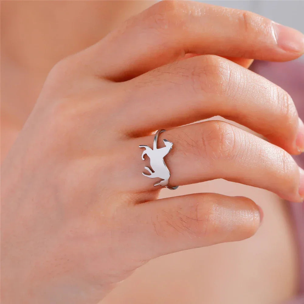 Anel Liberdade Prata