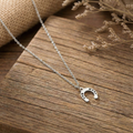 Conjunto Ferradura Raiz Prata