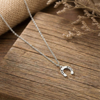 Conjunto Ferradura Raiz Prata