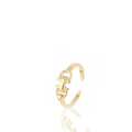Anel Bridão Prata 925 Banhado Ouro 14k