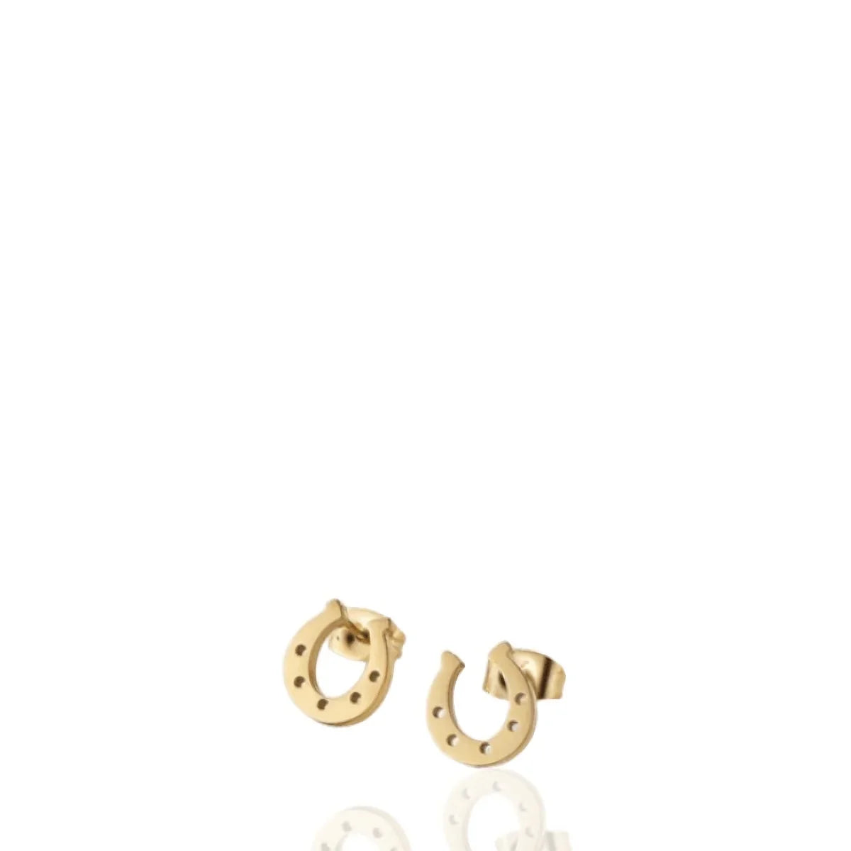 Brinco Ferradura Cravos Dourado