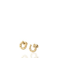 Brinco Ferradura Cravos Dourado